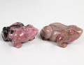 TWO RHODANITE STUDIES OF FROGS