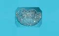 286 American Brilliant Cut Glass Low Bowl