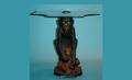 283 Shaped Plate Glass Table with Carved Wooden Monkey