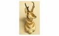 453 Taxidermy Buck Pronghorn Head with Glass Eyes