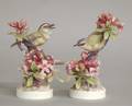 41 PAIR OF DOROTHY DOUGHTY PORCELAIN BIRDSEnglish Da