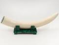 UNCARVED IVORY TUSK