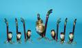 330 SEVEN PIECE ENAMEL DECORATED GLASS PIPE SET