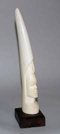9 AFRICAN IVORY TUSK