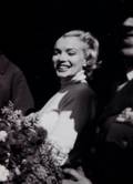 MARILYN MONROE 1954 NEGATIVES