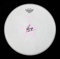 RINGO STARR SIGNED DRUMHEAD