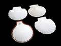ESTHER WILLIAMS SHELL DISHES