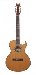 CARLOS SANTANA WASHBURN CE41 NYLON STRING ACOUSTIC GUITAR 