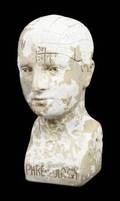 PHRENOLOGY HEAD