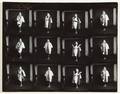 MARILYN MONROE BERT STERN CONTACT SHEET
