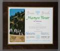 WALTER MATTHAU BNAI BRITH MARTYRS FOREST PLAQUE