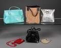 ANNA NICOLE SMITH DESIGNER HANDBAGS