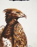 RONNIE WOOD EAGLE PAINTING