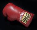 MUHAMMAD ALI AND SUGAR RAY ROBINSON SIGNED GLOVE