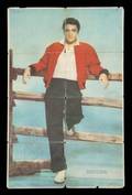 ELVIS PRESLEY SIGNED POSTER