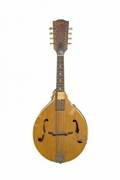 1966 GIBSON A40 N MANDOLIN