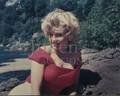 MARILYN MONROE COLOR PHOTOGRAPHS ON CANVAS
