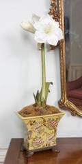 YELLOW BRASS MOUNTED JARDINIERE