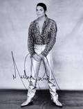MICHAEL JACKSON SIGNED HERB RITTS PHOTOGRAPH