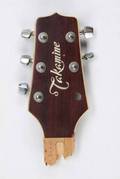 BRUCE SPRINGSTEEN BROKEN TAKAMINE HEADSTOCK