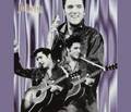 MUSIC ICONS ELVIS PRESLEY EXHIBITION SCRIM