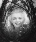 MARILYN MONROE VINTAGE ANDRE de DIENES PHOTOGRAPH