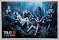 TRUE BLOOD CASTSIGNED IMAGE