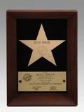 BETTE MIDLER WALK OF FAME STAR PLAQUE