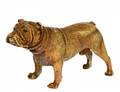 BERGMAN VIENNA COLD PAINTED BRONZE BULLDOG