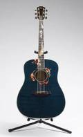 TAYLOR GALLERY SERIES LIVING JEWELS ACOUSTIC GUITAR