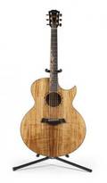 KENNY LOGGINS LIMITED EDITION SIGNATURE MODEL TAYLOR GUITAR