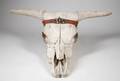 STEER HEAD SKULL WITH RATTLESNAKE BAND