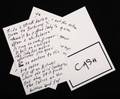 JOHNNY CASH HANDWRITTEN STICK HORSE LYRICS