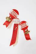 ROSE BOWL RIBBONS