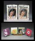 DAVID CASSIDY OWNED JIGSAW PUZZLES AND RELATED ITEMS