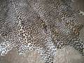 A FAUX LEOPARDPRINTED HIDE RUG