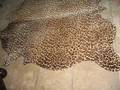 A LEOPARD PATTERN PRINTED HIDE RUG