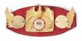 EVANDER HOLYFIELD 1987 IBF CRUISERWEIGHT CHAMPIONSHIP BELT