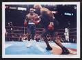 EVANDER HOLYFIELD VS MIKE TYSON PHOTOGRAPH