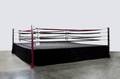 EVANDER HOLYFIELD HOME BOXING RING