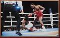 EVANDER HOLYFIELD VS BUSTER DOUGLAS PHOTOGRAPH