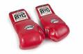 EVANDER HOLYFIELD VS MICHAEL MOORER FIGHT WORN GLOVES