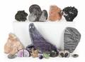 COLLECTION OF GEODES FOSSILS AND SPECIMENS