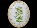 FLORA DANICA PORCELAIN OVAL DISH