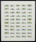 A FULL SET OF OGDENS CIGARETTE CARDS HOW TO SWIM
