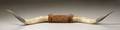 MARY PICKFORD OWNED PAIR OF STEER HORNS