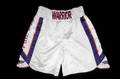 EVANDER HOLYFIELD VS FRANCOIS BOTHA FIGHT WORN TRUNKS