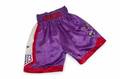 EVANDER HOLYFIELD VS LENNOX LEWIS FIGHT WORN TRUNKS