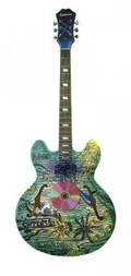 The Florida Greens and Blues Guitar 2009 by John D