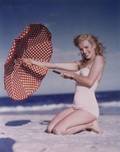 MARILYN MONROE LIMITED EDITION ANDRE DE DIENES PRI